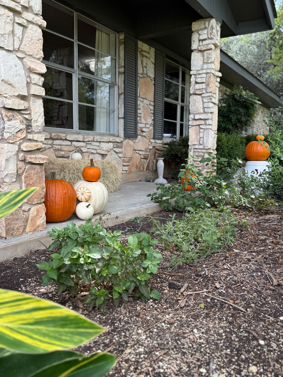 Fall Porch Package #1