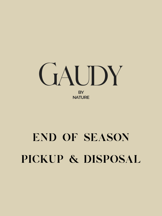 Pumpin Pickup & Disposal