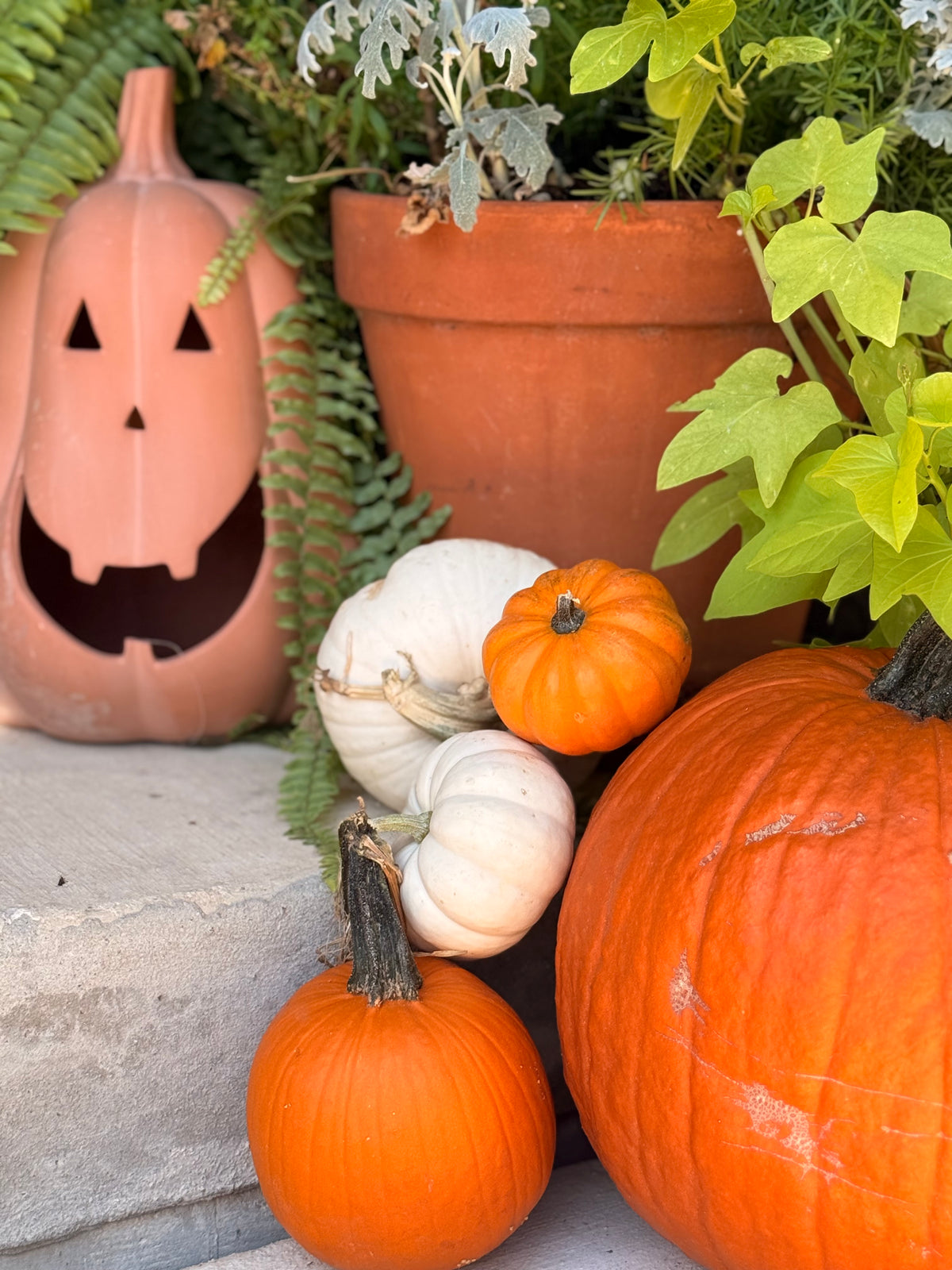 Fall Porch Package #3