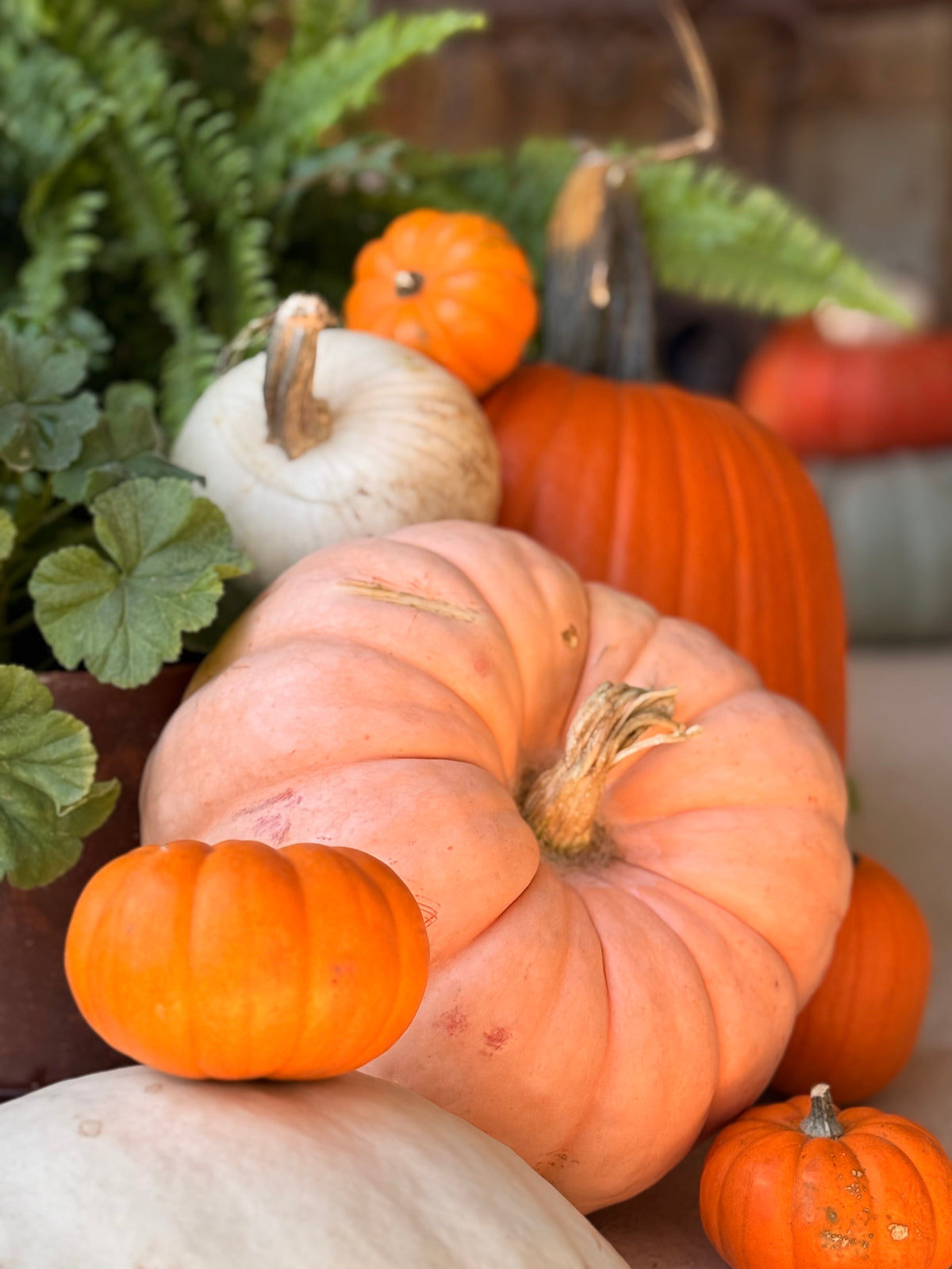 Fall Porch Package #3